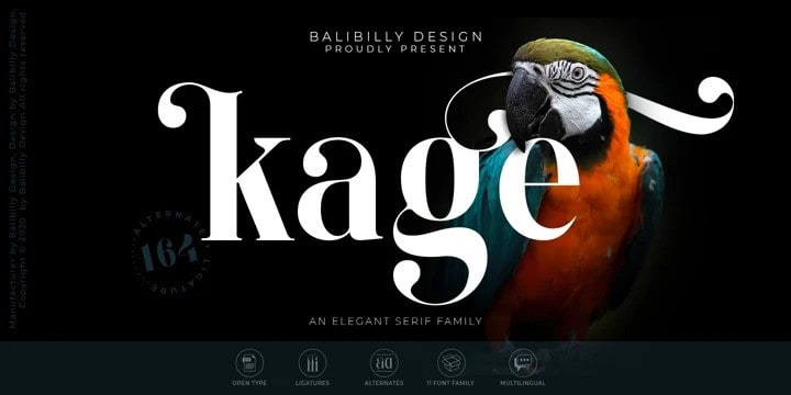 Kage Serif Font
