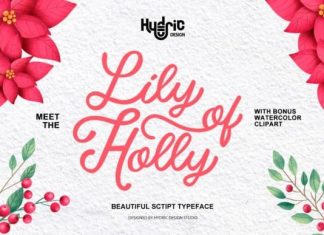 Lily Of Holly Calligraphy Font