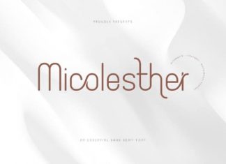 Micolesther Sans Serif Font