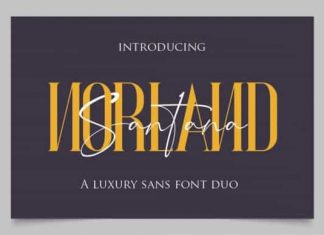 Norland Serif Font