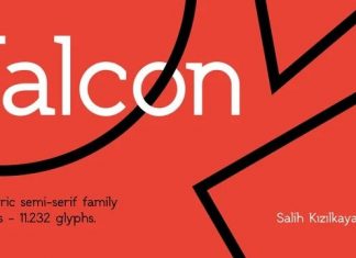 SK Falcon Sans Serif Font