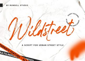 Wildstreet Brush Font