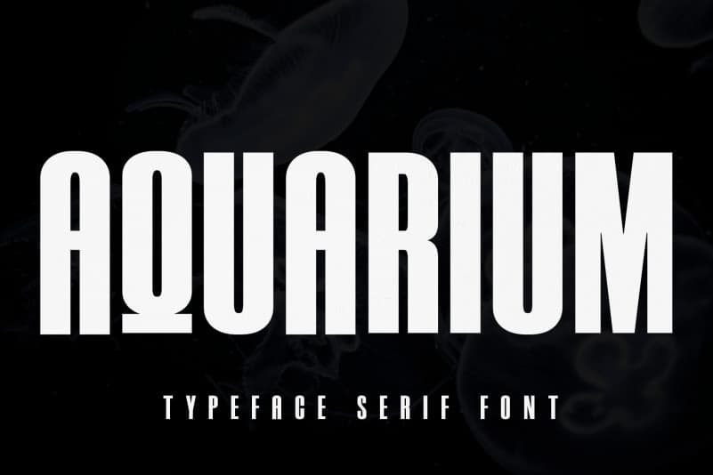 Aquarium Sans Serif Font