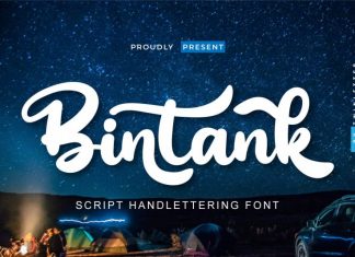 Bintank Script Font