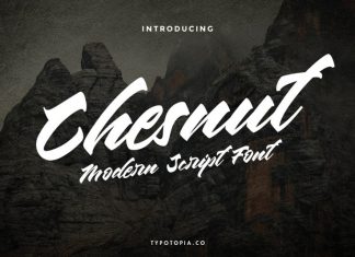 Chesnut Modern Script Font