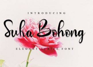 Suka Bohong Calligraphy Font