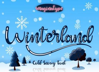 Winterland Script Font