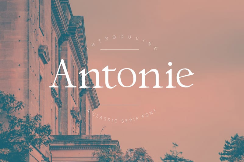 Antonie Serif Font