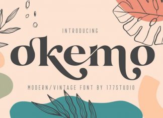 Okemo – Modern Serif Font