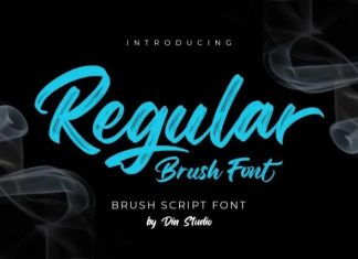 Regular Brush Font