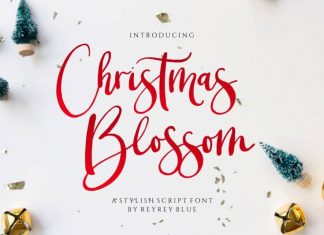 Christmas Blossom Font