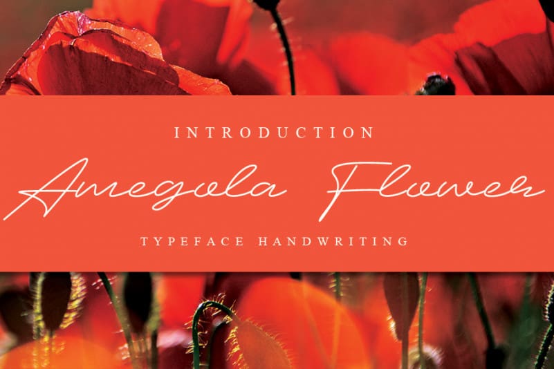 Amegola Flower Handwritten Font