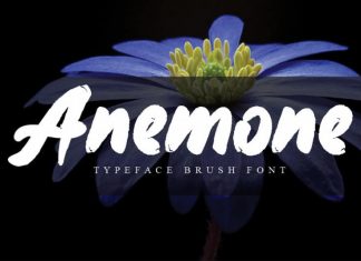 Anemone Brush Font