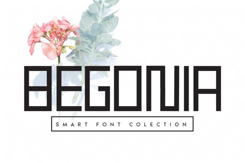 Begonia Display Font