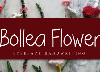 Bollea Flower Handwritten Font