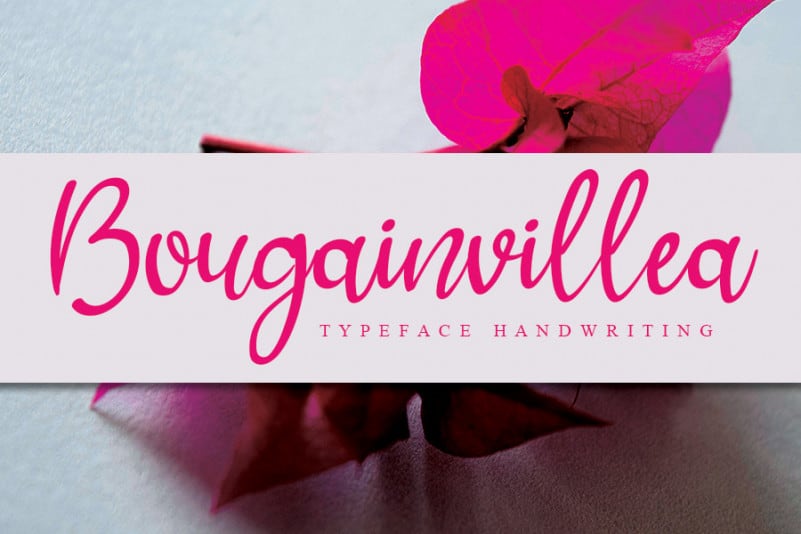 Bougainvillea Handwritten Font
