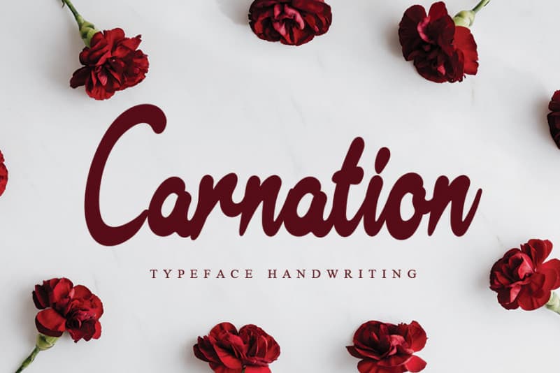 Carnation Handwritten Font