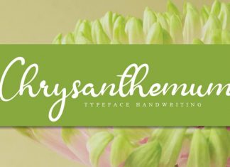 Chrysanthemum Handwritten Font