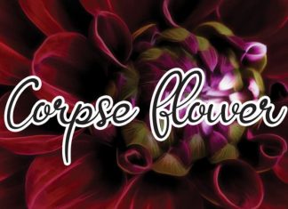 Corpse Flower Font