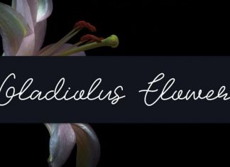 Gladiolus Flower Handwritten Font