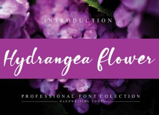 Hydrangea Flower Script Font
