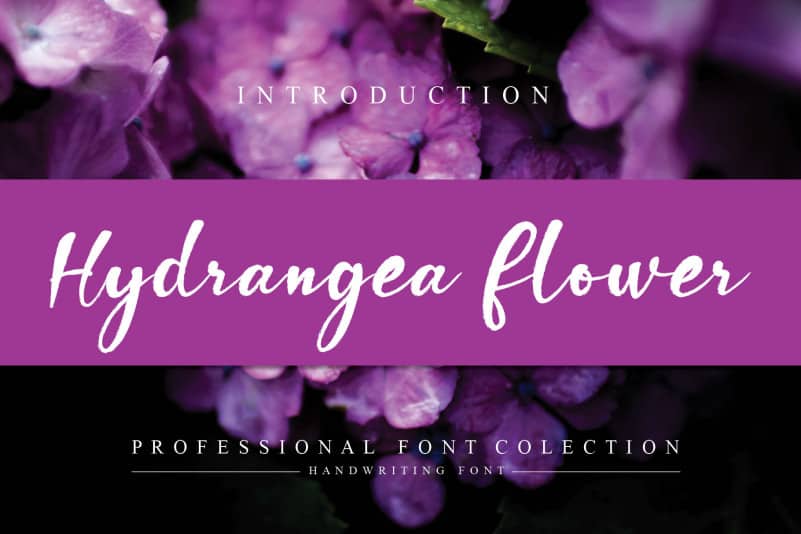 Hydrangea Flower Script Font