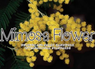 Mimosa Flower Display Font