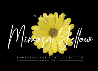 Mimosa Yellow Script Font