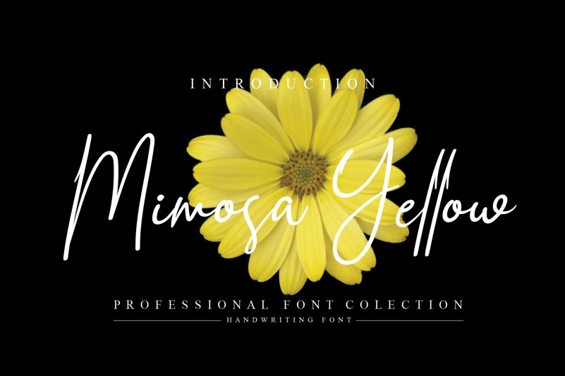 Mimosa Yellow Script Font