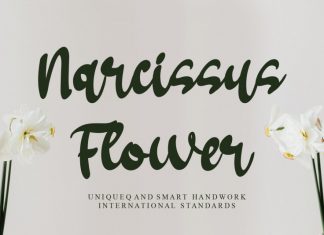 Narcissus Flower Brush Font