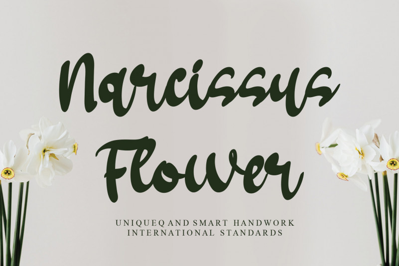 Narcissus Flower Brush Font