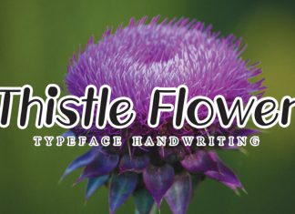 Thistle Flower Display Font