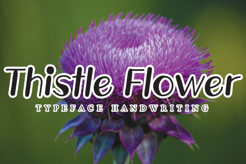 Thistle Flower Display Font
