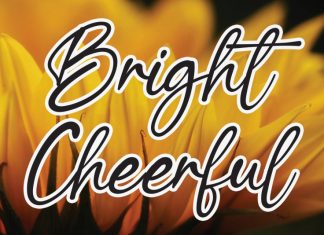 Bright Cheerful Script Font