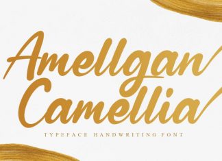 Amellgan Camellia Script Font