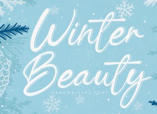 Winter Beauty Script Font
