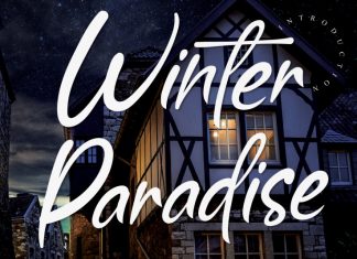 Winter Paradise Script Font
