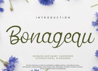Bonagequ Script Font