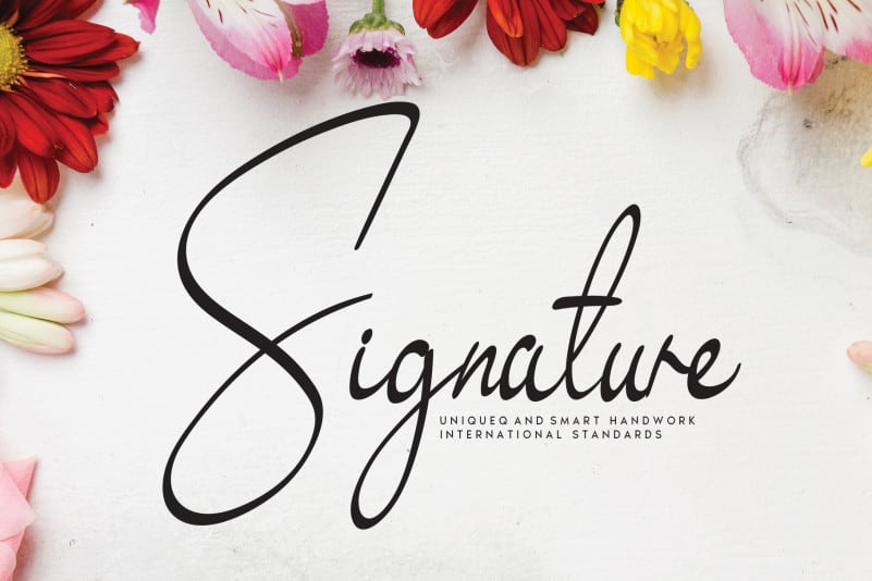 Signature - Exquisite Handwritten Font