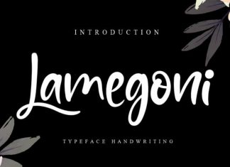 Lamegoni Script Font