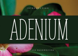 ADENIUM Display Font