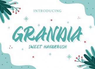 GRANDIA HANDBRUSH FONT