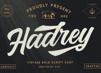 Hadrey - Vintage Script Font
