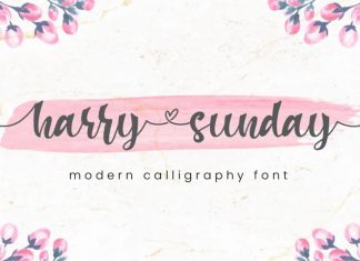 Harry Sunday Calligraphy Font