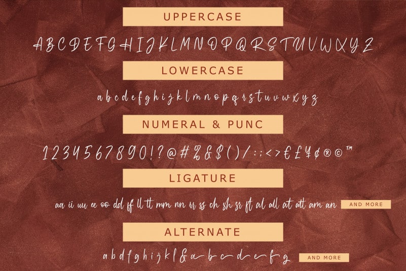 Kinattura Script Font