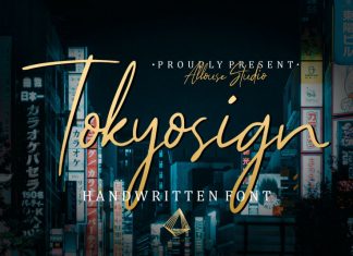 Tokyosign Script Font