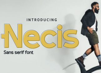 Necis Sans Serif Font