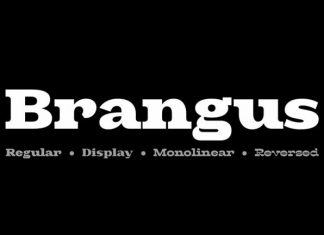 Brangus Sans Serif Font