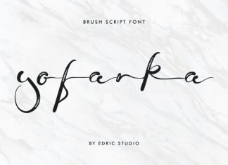 Yofanka Brush Font