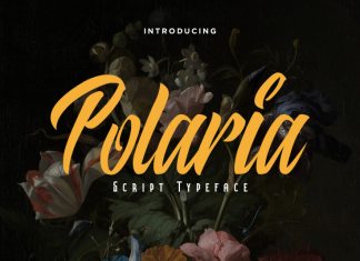 Polaria Script Typeface